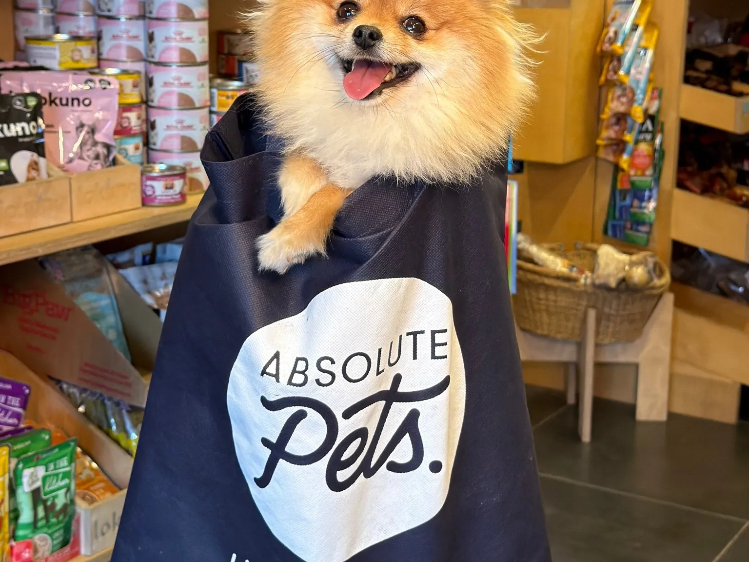 Absolute Pets shopfront